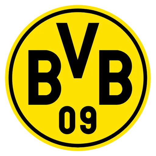 Bvb dls hot sale kit